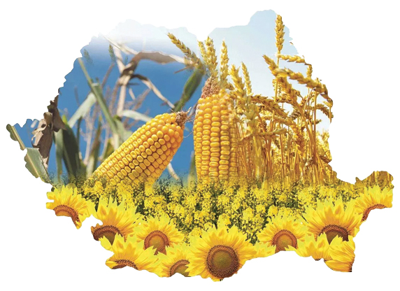 Agricultura românească, între speranță și avertismente