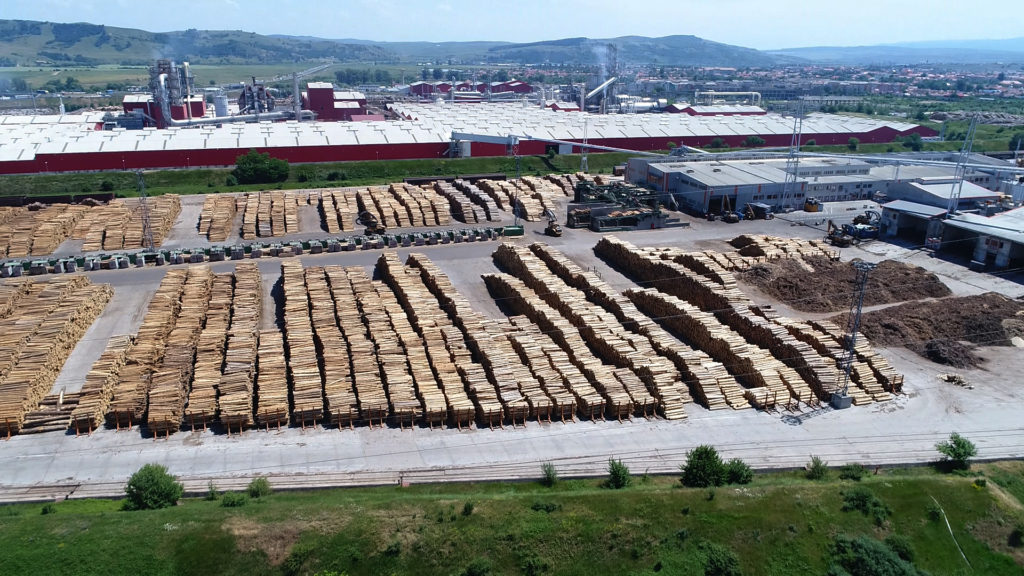 Iată că se poate: lemn românesc de aproape un milion de euro, confiscat!